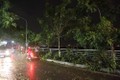 Bão số 2 vào Việt Nam, Hà Nội mưa lớn cây đổ đè người đi đường