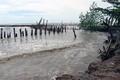 Cà Mau: Mực nước biển Tây dâng cao kỷ lục, nguy cơ vỡ đê