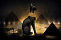 Vì sao mèo ở Ai Cập cổ đại được đối xử như thần linh? 