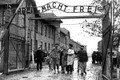 Tội ác rùng rợn của Đức quốc xã tại Auschwitz phơi bày năm 1945