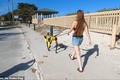 Chó robot giá 75.000 USD tự hoạt động, chơi đùa với chó thật khác