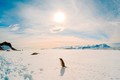 Kỳ bí chuyện ma quái xảy ra ở Nam Cực