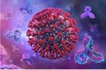 Phát hiện “miễn dịch lai” giúp chống lại COVID-19 tốt nhất, chuyên gia nói sao? 