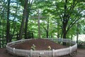 Tiết lộ bất ngờ về ngôi mộ Chúa Jesus tọa lạc ở Nhật Bản