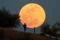 Vì sao siêu trăng cá tầm và trăng xanh cùng hội ngộ trong tháng 8?