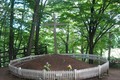Lộ chi tiết bất ngờ về ngôi mộ Chúa Jesus ở Nhật Bản