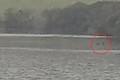 Xôn xao bằng chứng về sự tồn tại của quái vật hồ Loch Ness