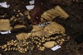 Chuyên gia sung sướng tìm thấy ngôi mộ chất đầy vàng ở Panama