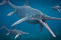 Bí ẩn loài “rồng biển” sống trên Trái đất hơn 200 triệu năm trước