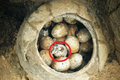 Thấy trứng trong mộ cổ, vì sao chuyên gia luôn "tim đập chân run"? 