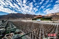 Mở đầu 2021: Quân đội Trung Quốc tập trận rầm rộ ở Tây Tạng