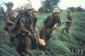 Hai lính Mỹ cuối cùng thiệt mạng trên chiến trường Việt Nam