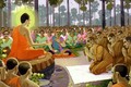 Câu chuyện Phật Giáo: Thành tâm khấn Phật, cớ sao phải chịu mất cánh tay?