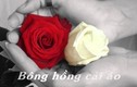 Hiểu sao cho đúng về “Bông hồng cài áo“ ngày lễ Vu Lan? 