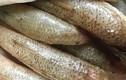 Loại cá có tên độc lạ, giờ trở thành đặc sản nổi tiếng được ưa chuộng vì ngon và bổ dưỡng, 150.000 đồng/kg