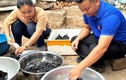 Nghề lạ ở Việt Nam: Nuôi con vật “tử thần” ai cũng sợ, chăm nhàn tênh, bán làm đặc sản thu lãi "khủng" đều hàng tháng