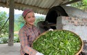 Cô gái Hà Giang từ bỏ công việc thu nhập cao về quê làm Tiktoker, quảng bá sản vật quê hương