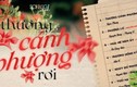 'Thương Cánh Phượng Rơi' - Bản giao hòa xúc cảm tuổi học trò