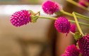 Người khôn ngoan biết 3 điều giúp họ tới đâu cũng được mọi người tôn trọng