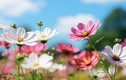 Phụ nữ khôn ngoan, có trí tuệ cảm xúc cao thường có 4 thói quen nói chuyện này