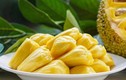 Mua mít chẳng may chưa chín, nhớ cho thìa này vào trong quả, chỉ 3 ngày là thơm phức tha hồ ăn