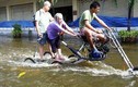 Những kiểu xe chống lụt chỉ có ở Thái Lan