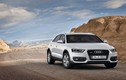 Audi bị cấm sử dụng thương hiệu Q2 và Q4
