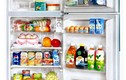 Tạo vitamin qua quang hợp trong tủ lạnh 