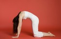 10 tư thế Yoga đánh bay cơn đau đầu hiệu quả