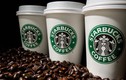 Cà phê Starbucks có gì đặc biệt?