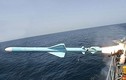 Hai “sát thủ diệt hạm” của TQ được ưa chuộng ở ĐNA