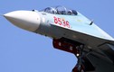 Gặp “bác sĩ” chăm sóc “hổ mang chúa” Su-30MK2