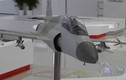 TQ “khoe” máy bay quân sự “mô hình” tại Pháp