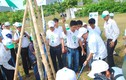 Vinamilk tài trợ trồng hơn 20.000 cây xanh tại Huế