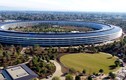 Trụ sở Apple Park là một trong những tòa nhà đắt nhất thế giới