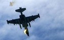 Nga thừa nhận lỗi kỹ thuật khiến Su-25UB bị rơi 