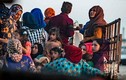 Cảnh người dân Syria đau xót rời quê hương vì Thổ Nhĩ Kỳ 