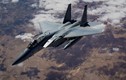 Tầm quan trọng của chiến đấu cơ F-15E Mỹ tại chiến trường Syria 