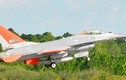 Mỹ hoán cải F-16 thành UCAV lớn nhất thế giới, bay nhanh như tiêm kích