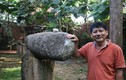 Kỳ lạ chuông đá trong “vườn hóa thạch” ở Đăk Lăk
