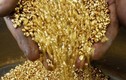 Mỏ vàng Phước Sơn: 22 tấn vàng nhưng hớ hênh... mất toi 15 tấn rồi!