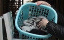 Chữa bệnh rùa bò cho máy giặt