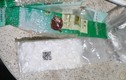 Bà Rịa – Vũng Tàu: Du khách tắm biển nhặt được gói hàng nghi ma túy