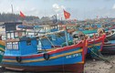 Bà Rịa-Vũng Tàu: Cấp số tạm cho 1.095 tàu cá '3 không'