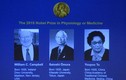 Ba nhà khoa học đoạt giải Nobel Y học 2015