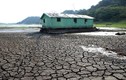 Brazil hứng chịu đợt hạn hán tồi tệ nhất trong 100 năm