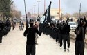 Mỹ điều đặc nhiệm đến Syria để chống IS