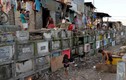 Cảnh sống chung với người chết ở thủ đô Philippines
