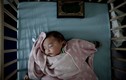 Số phận những trẻ em sinh ra trong chiến tranh 2015