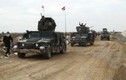 Quân đội Iraq bắt sống một chỉ huy IS tại Ramadi